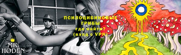 2c-b Покровск